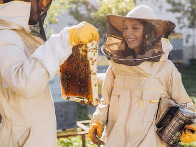 Abenteuer Honigbiene - Entdecke die Welt der fleißigen Bienen!  